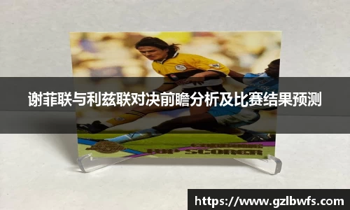谢菲联与利兹联对决前瞻分析及比赛结果预测
